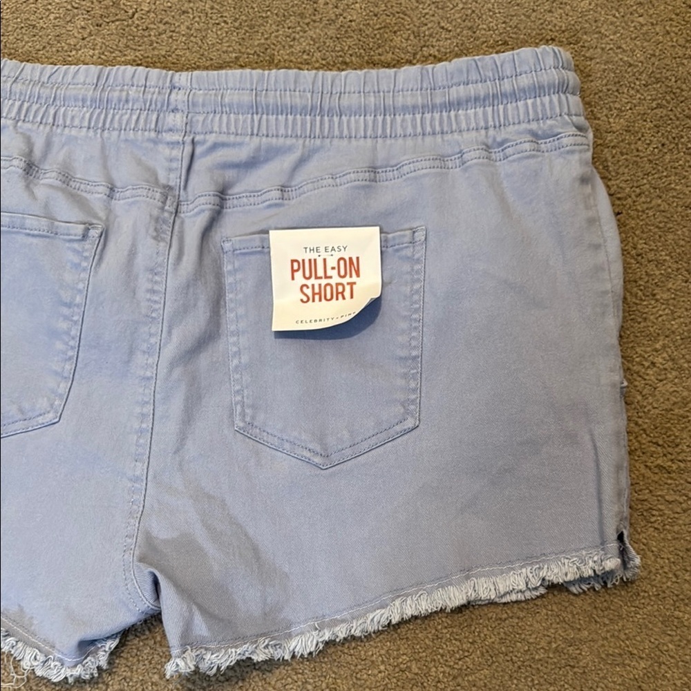 Celebrity Pink Blueish Purple Shorts Elastic Waist - Picture 5 of 6